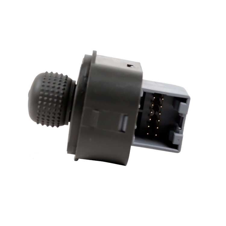 Mirror-Control-SwitchDucato.jpg
