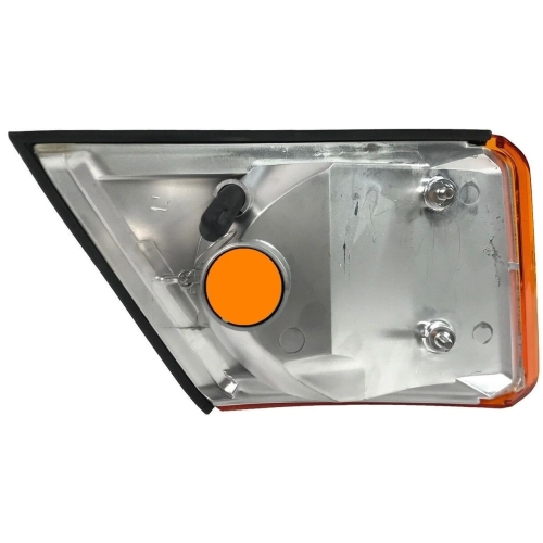 500320425 DAILY lewa.jpg