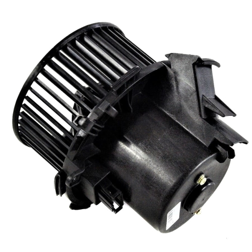 7701057555 interstar.jpg