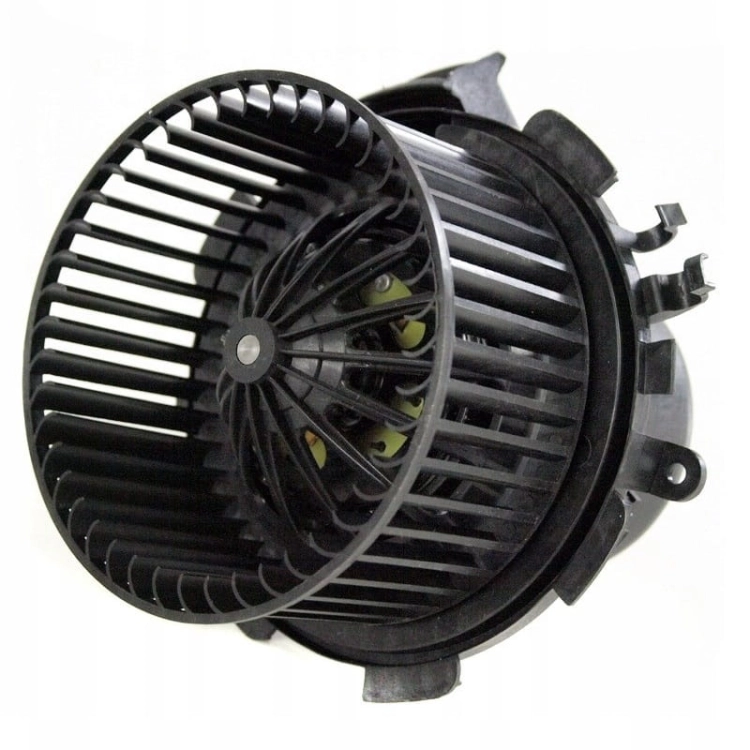 4415547-7701057555 movano.jpg