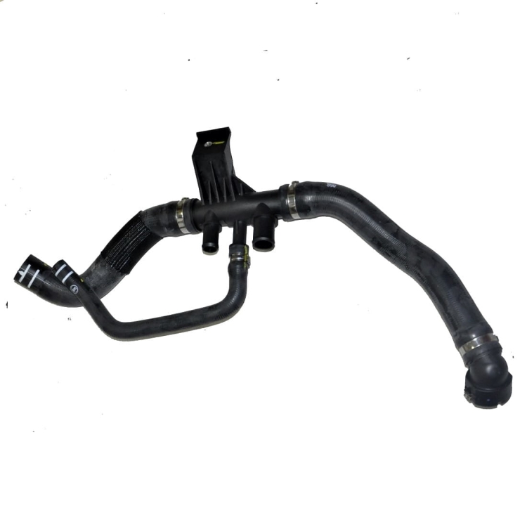 1349150080 ducato.jpg