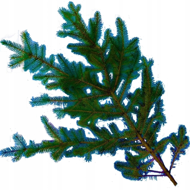 2874d46142b6b7d19c35aa5372f4