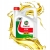 OLEJ-SILNIKOWY-CASTROL-GTX-5W-30.jpeg